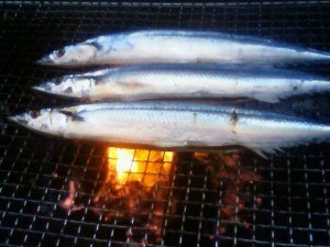 秋刀魚の炭火焼き