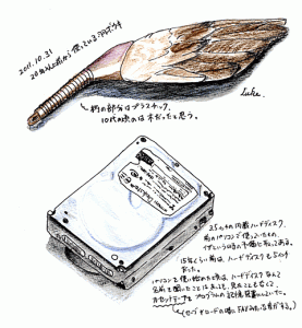 2011-10-31羽ボウキとハードディスク