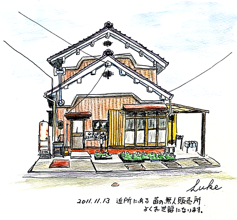 2011-11-13　苗の無人販売所